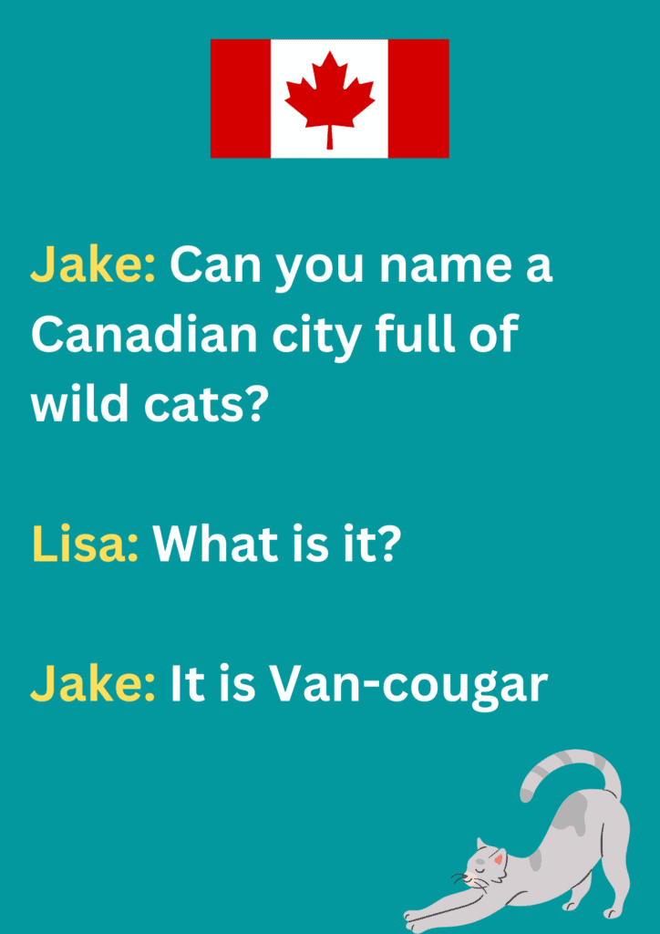 Joke about Canadian city Vancouver full of wild cats, on a blue background. The image has text and various emoticons. 