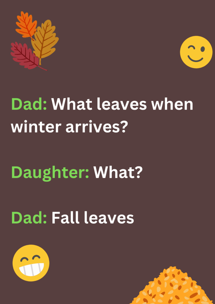 Funny dad joke about the arrival of winter season after winter arrives. The image has text and emoticons. 